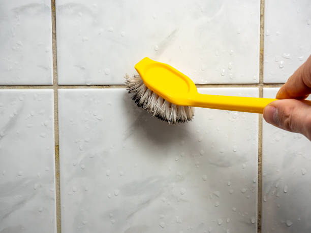 Best Affordable Mold Removal  in Sardinia, OH