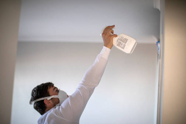 Mold Testing and Removal in Sardinia, OH