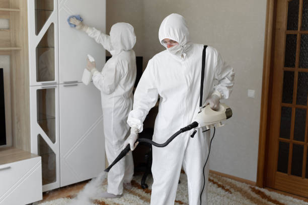 Mold Removal Process in Sardinia, OH