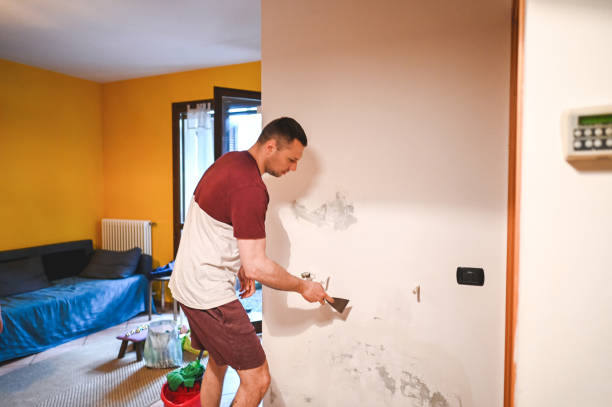 Best Mold Removal and Inspection  in Sardinia, OH